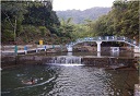 BADO Ranikor
